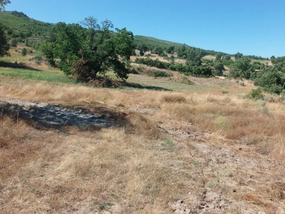 Quinta T0 para Venda em Codesseiro Foto 9