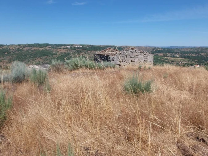 Quinta T0 para Venda em Codesseiro Foto 12