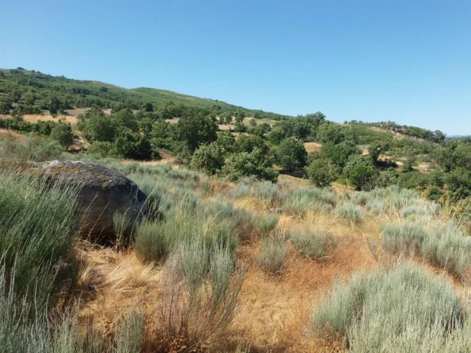 Quinta T0 para Venda em Codesseiro Foto 18