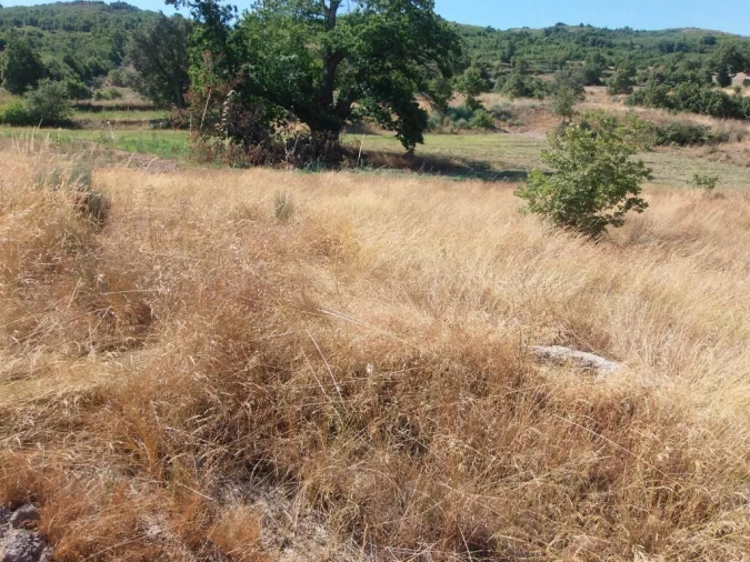 Quinta T0 para Venda em Codesseiro Foto 10
