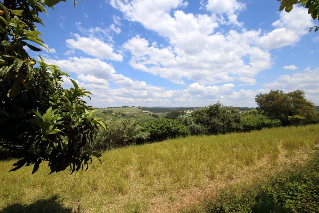 Moradia T4 para Venda em Alvorninha Foto 5