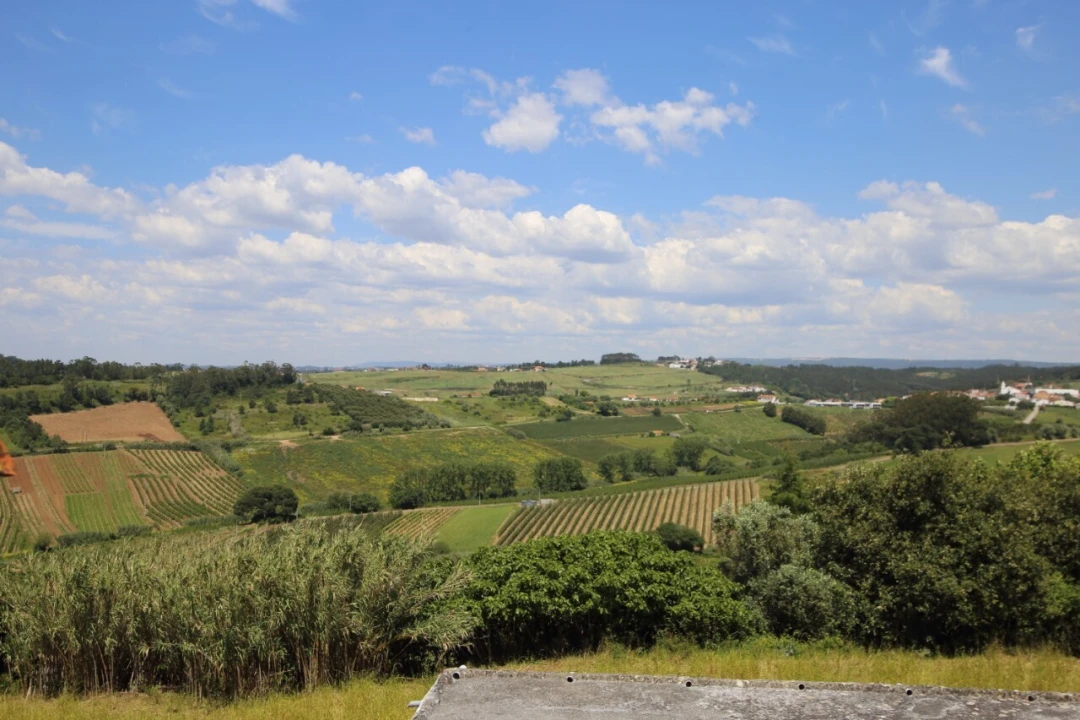 Moradia T4 para Venda em Alvorninha Foto 4