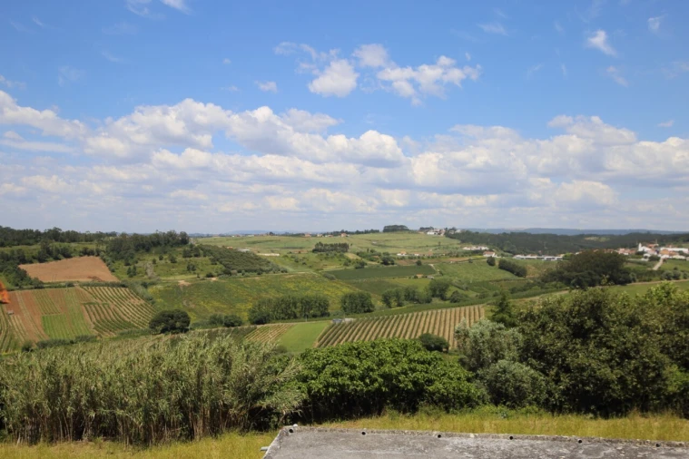 Moradia T4 para Venda em Alvorninha Foto 4