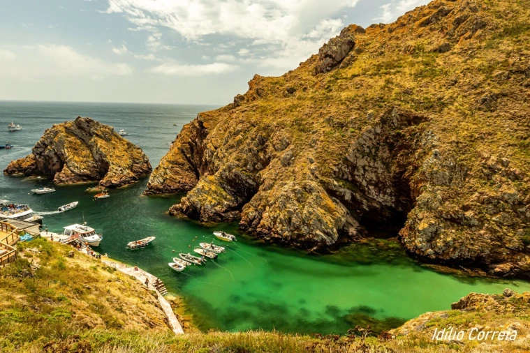 Armazém para Venda em Reguengo Grande Foto 15