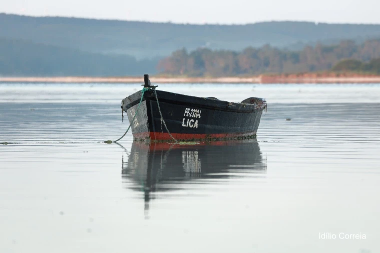 Moradia T2 para Venda em Painho e Figueiros Foto 18