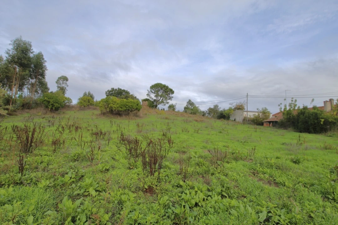 Moradia T3 para Venda em Alvorninha Foto 5