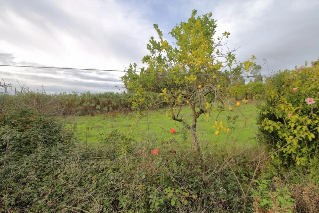 Moradia T3 para Venda em Alvorninha Foto 17