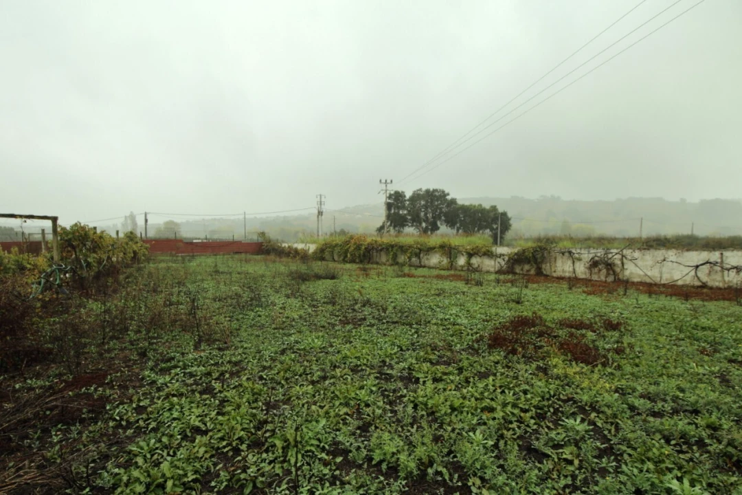 Moradia T3 para Venda em Roliça Foto 31