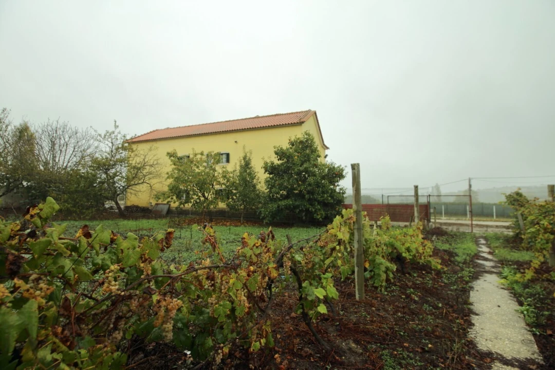 Moradia T3 para Venda em Roliça Foto 29