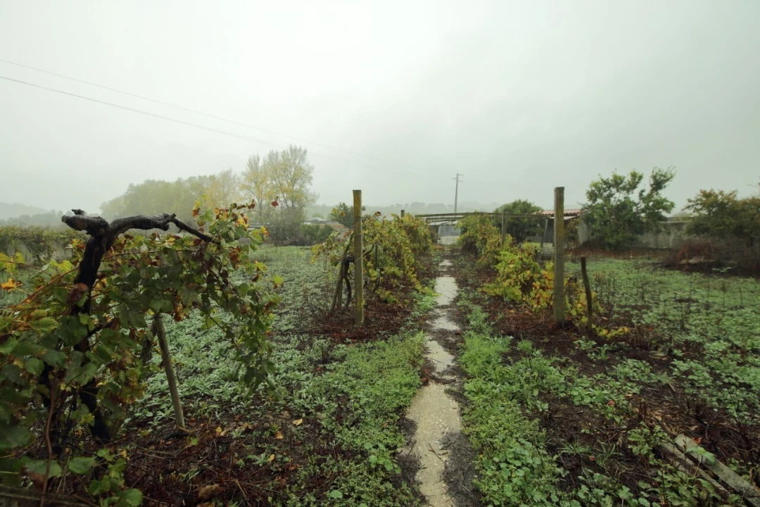 Moradia T3 para Venda em Roliça Foto 32