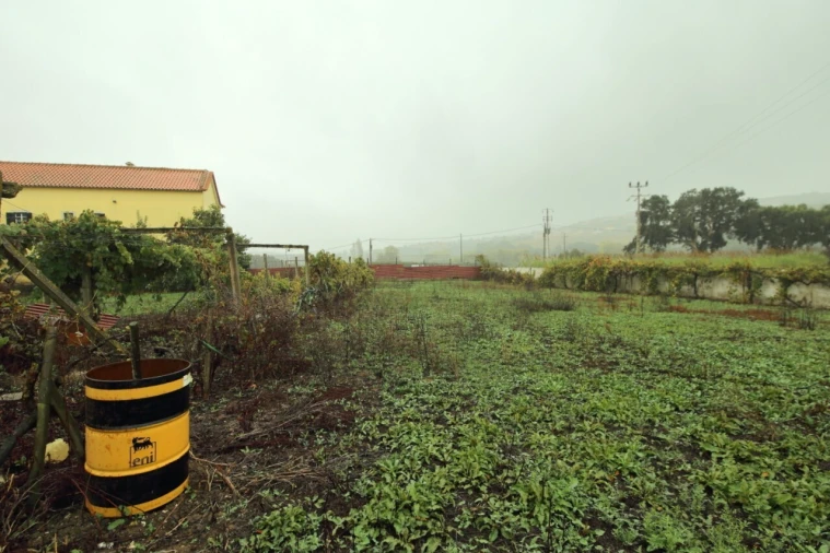 Moradia T3 para Venda em Roliça Foto 30