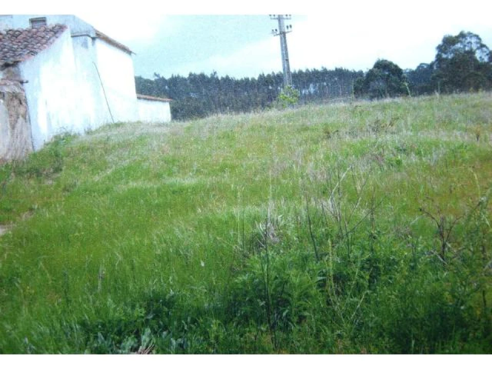 Terreno para Venda em Salir de Matos Foto 2