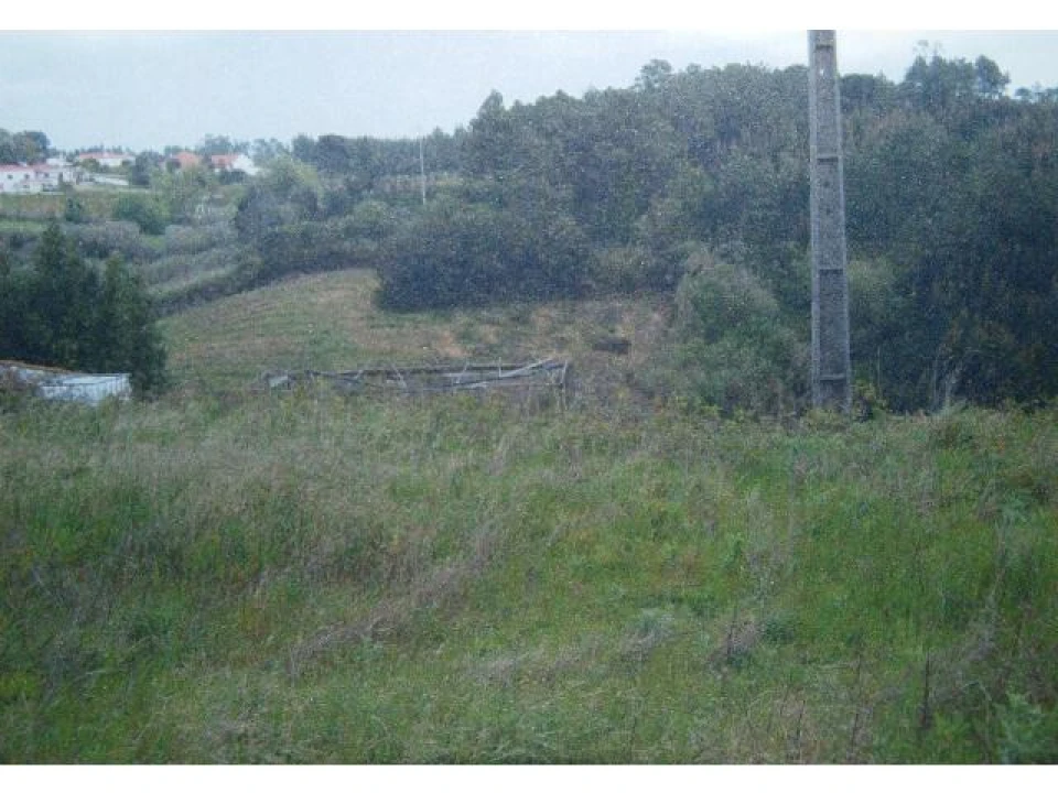 Terreno para Venda em Salir de Matos Foto 8