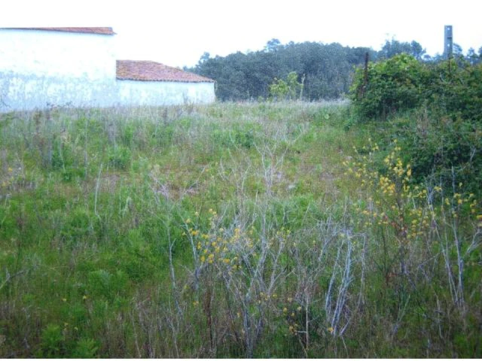 Terreno para Venda em Salir de Matos Foto 9