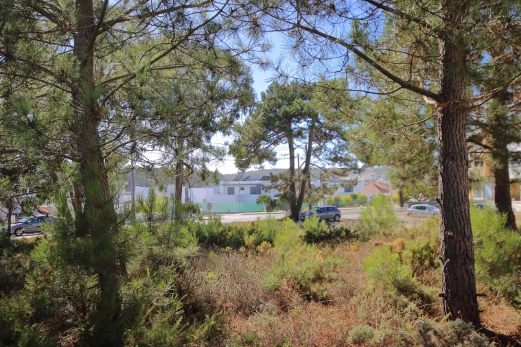 Terreno para Venda em Foz do Arelho Foto 5