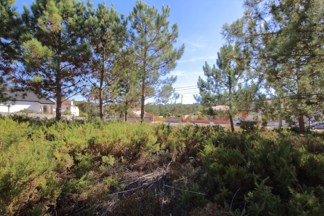 Terreno para Venda em Foz do Arelho Foto 1