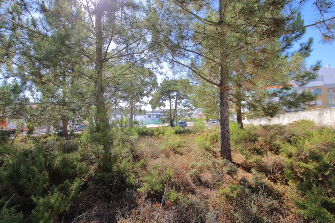 Terreno para Venda em Foz do Arelho Foto 2