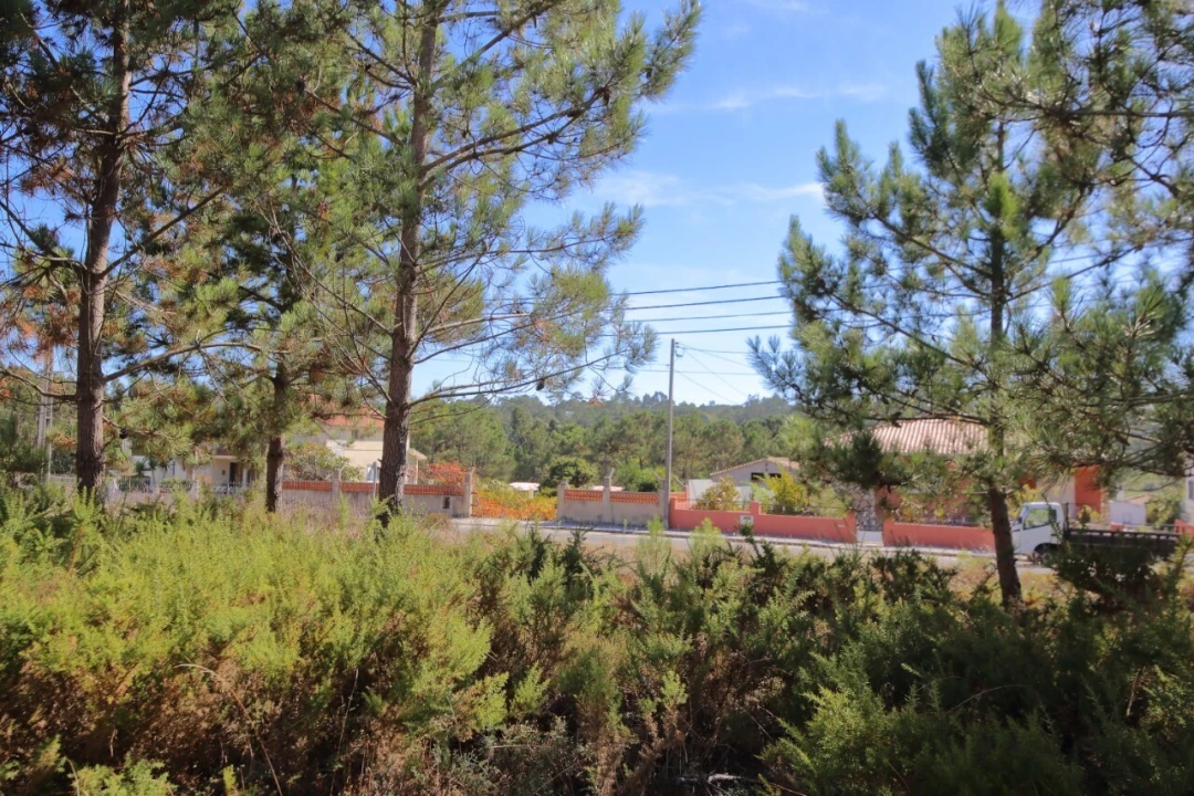 Terreno para Venda em Foz do Arelho Foto 4