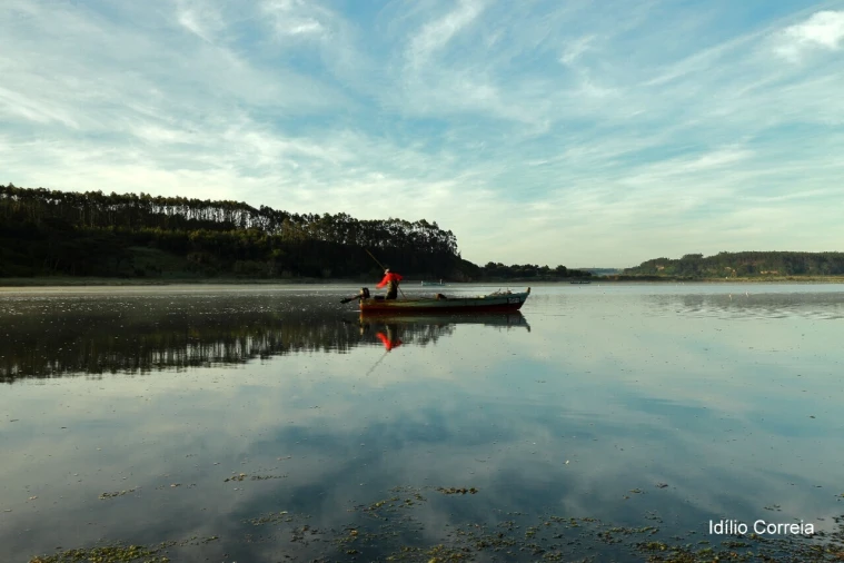 Terreno para Venda em Foz do Arelho Foto 9