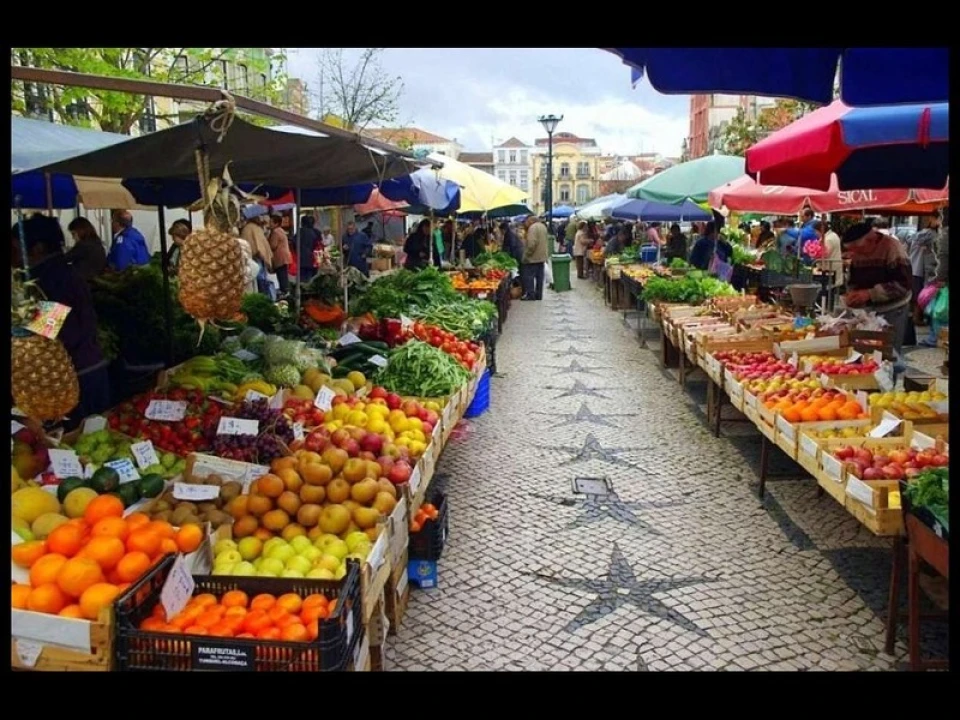 Moradia T4 para Venda em Nossa Senhora do Pópulo, Coto e São Gregório Foto 54