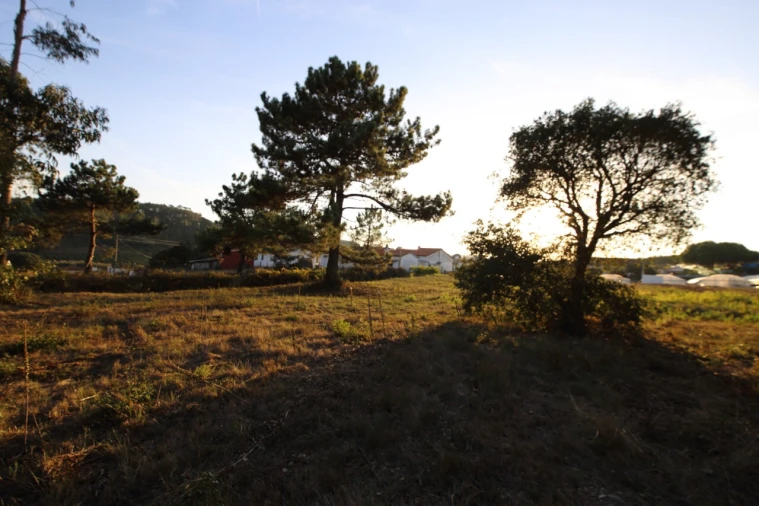 Terreno para Venda em Salir de Matos Foto 5