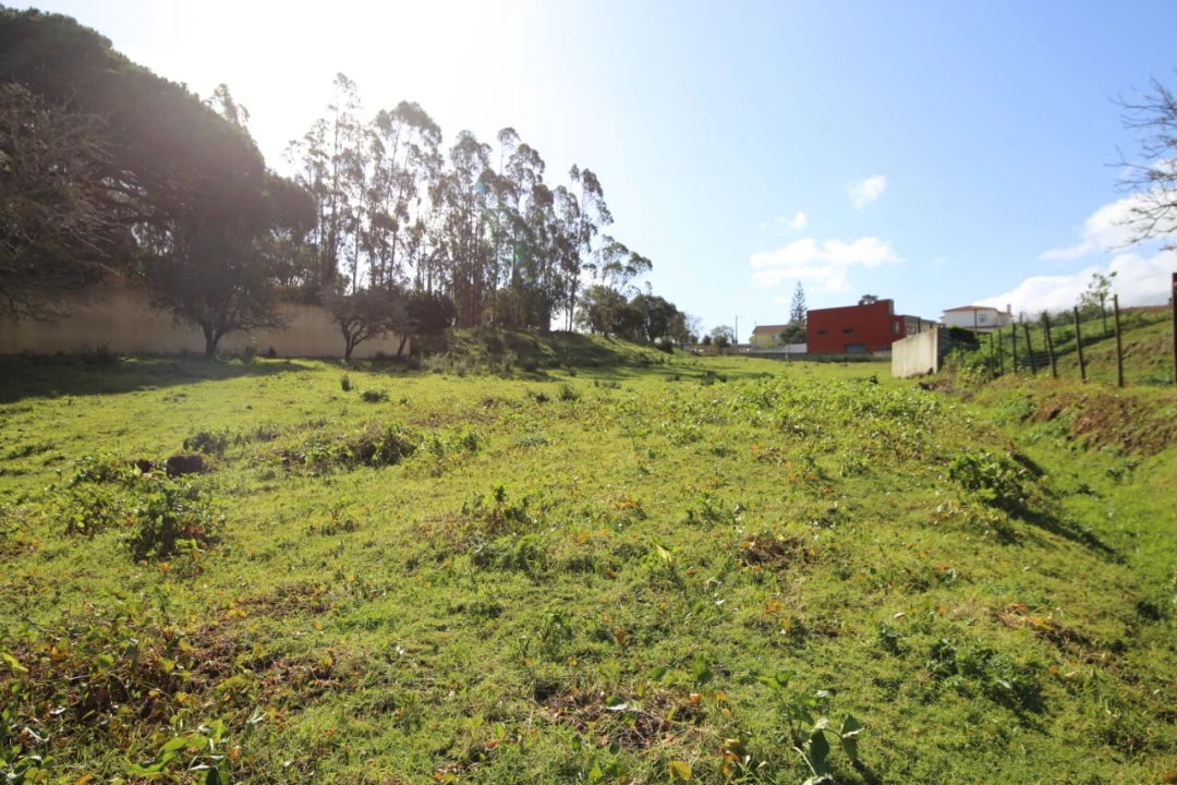 Terreno para Venda em Nossa Senhora do Pópulo, Coto e São Gregório Foto 3