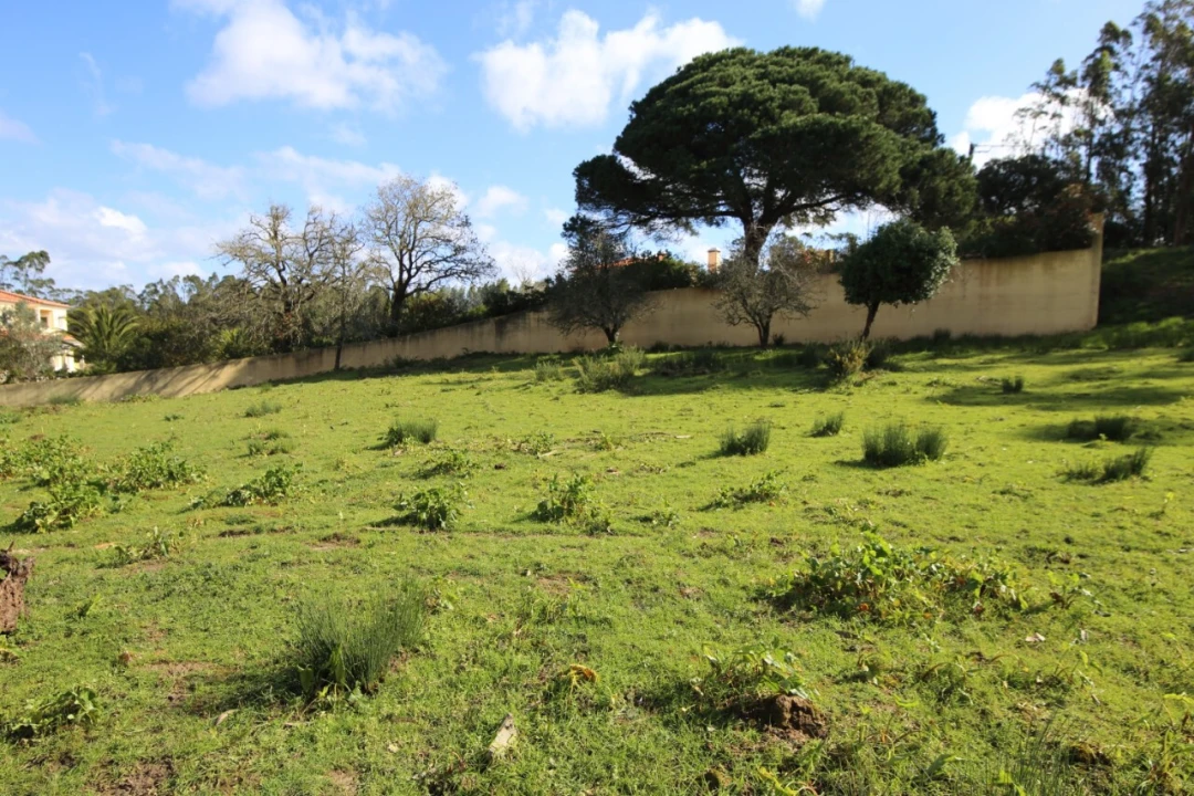 Terreno para Venda em Nossa Senhora do Pópulo, Coto e São Gregório Foto 4