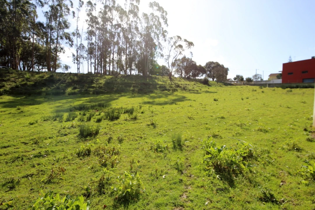 Terreno para Venda em Nossa Senhora do Pópulo, Coto e São Gregório Foto 5