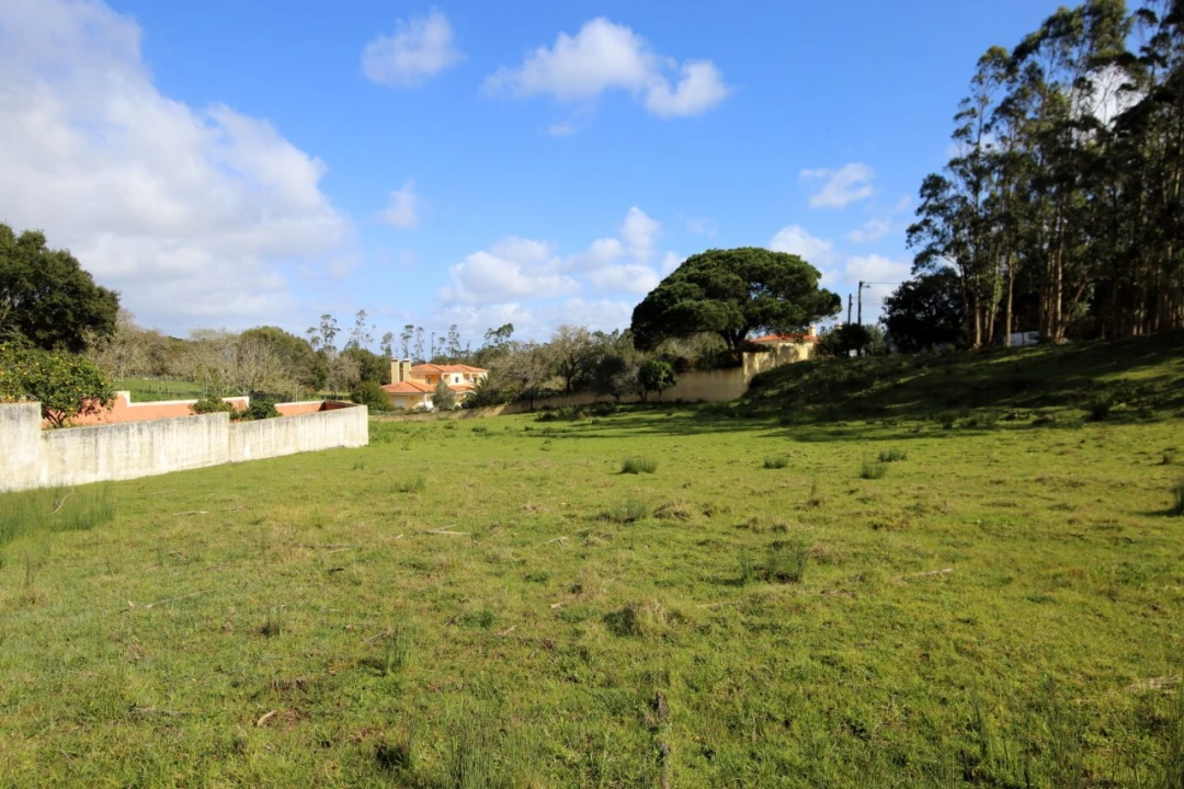 Terreno para Venda em Nossa Senhora do Pópulo, Coto e São Gregório Foto 2