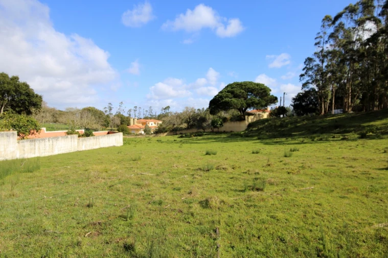 Terreno para Venda em Nossa Senhora do Pópulo, Coto e São Gregório Foto 7