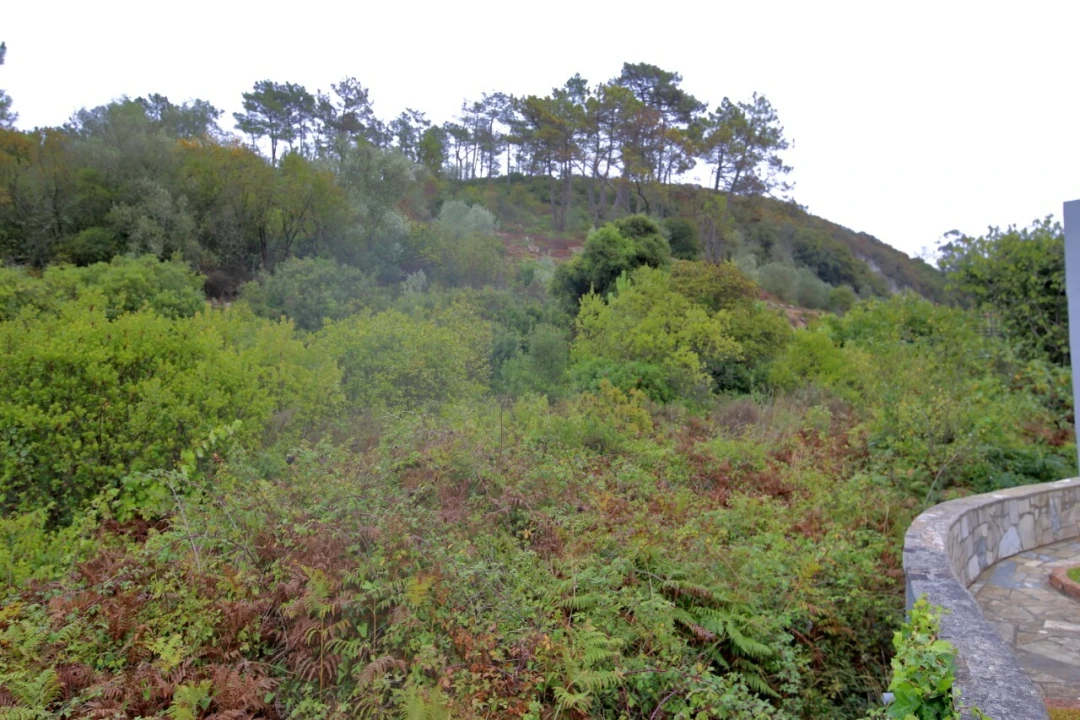 Terreno para Venda em Roliça Foto 3