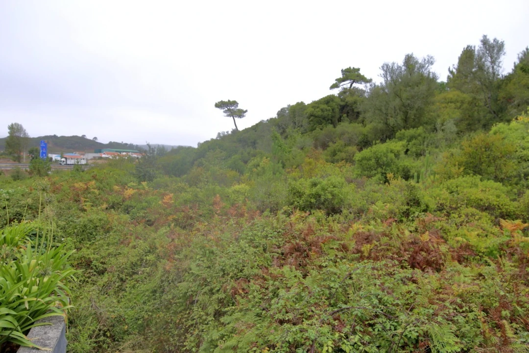 Terreno para Venda em Roliça Foto 4