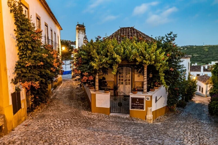 Terreno para Venda em Roliça Foto 9