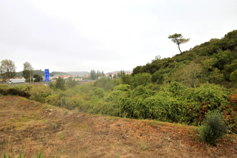 Terreno para Venda em Roliça