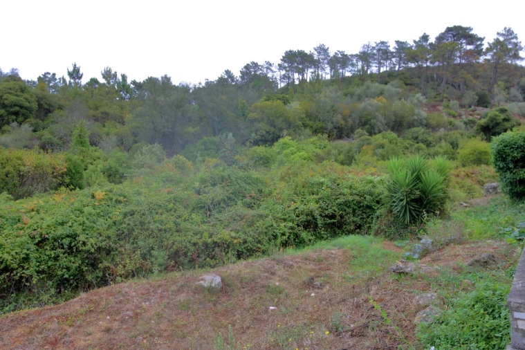 Terreno para Venda em Roliça Foto 5