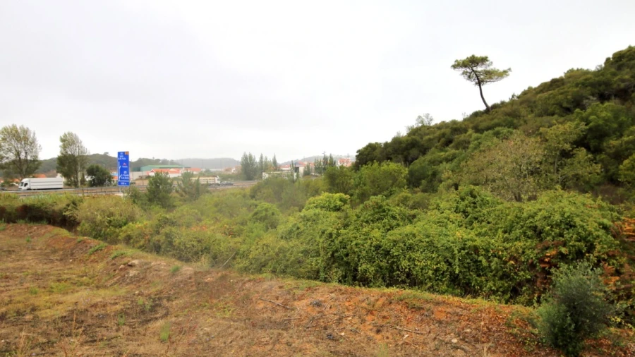 Terreno para Venda em Roliça