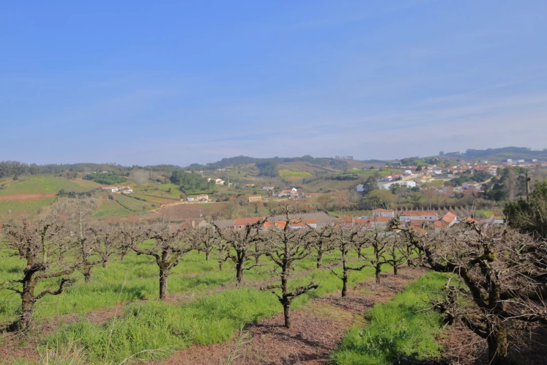 Terreno para Venda em A dos Francos Foto 2