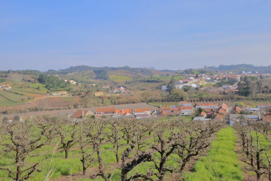 Terreno para Venda em A dos Francos Foto 34