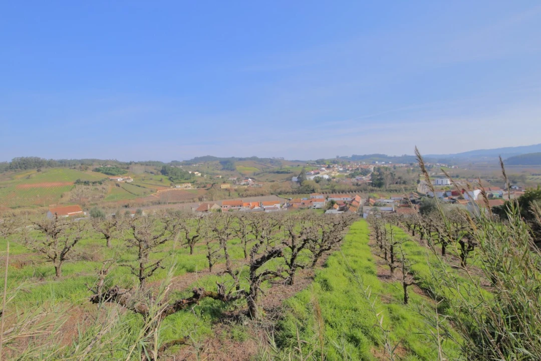 Terreno para Venda em A dos Francos Foto 35