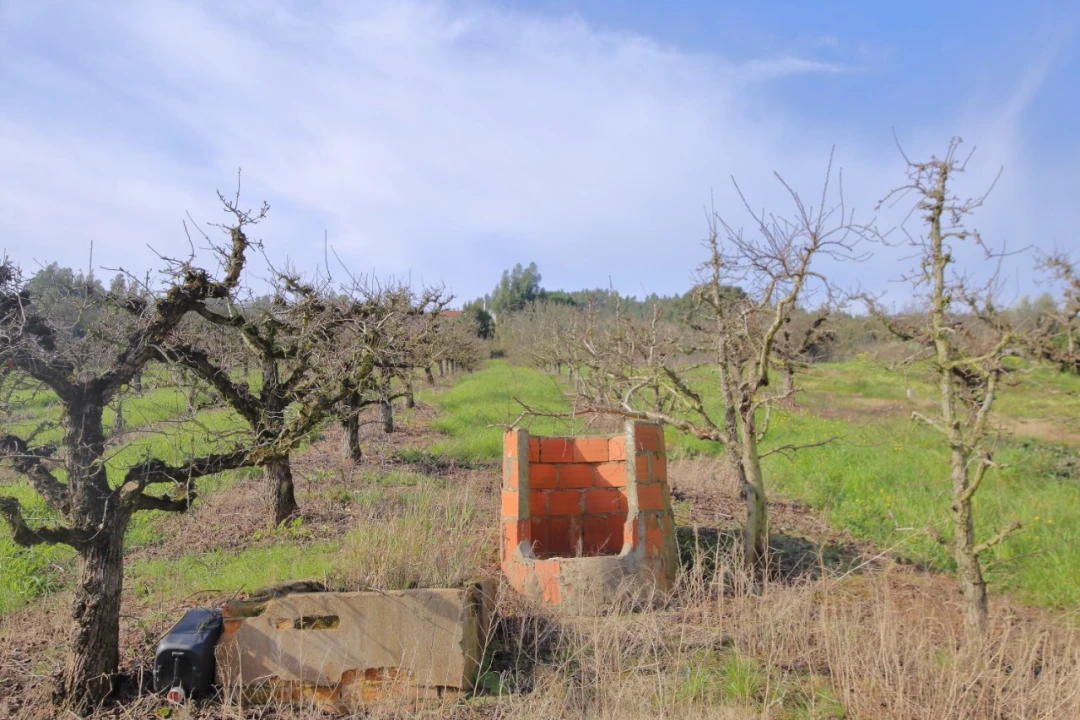 Terreno para Venda em A dos Francos Foto 1