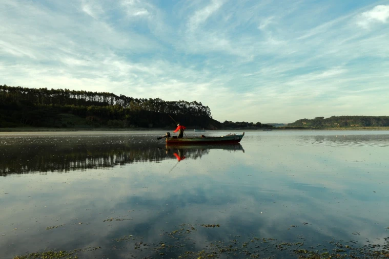 Terreno para Venda em A dos Francos Foto 17