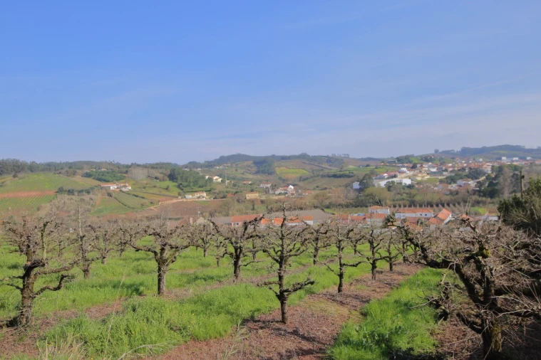 Terreno para Venda em A dos Francos Foto 2