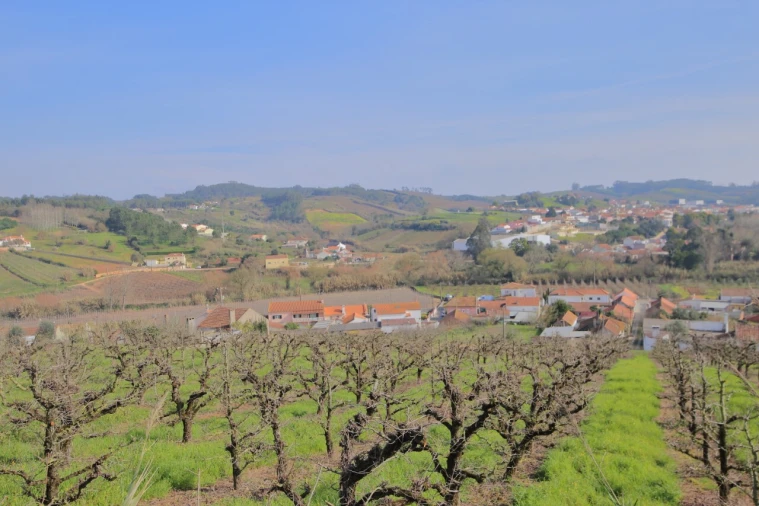 Terreno para Venda em A dos Francos Foto 34