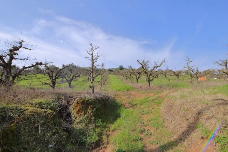 Terreno para Venda em A dos Francos Foto 37