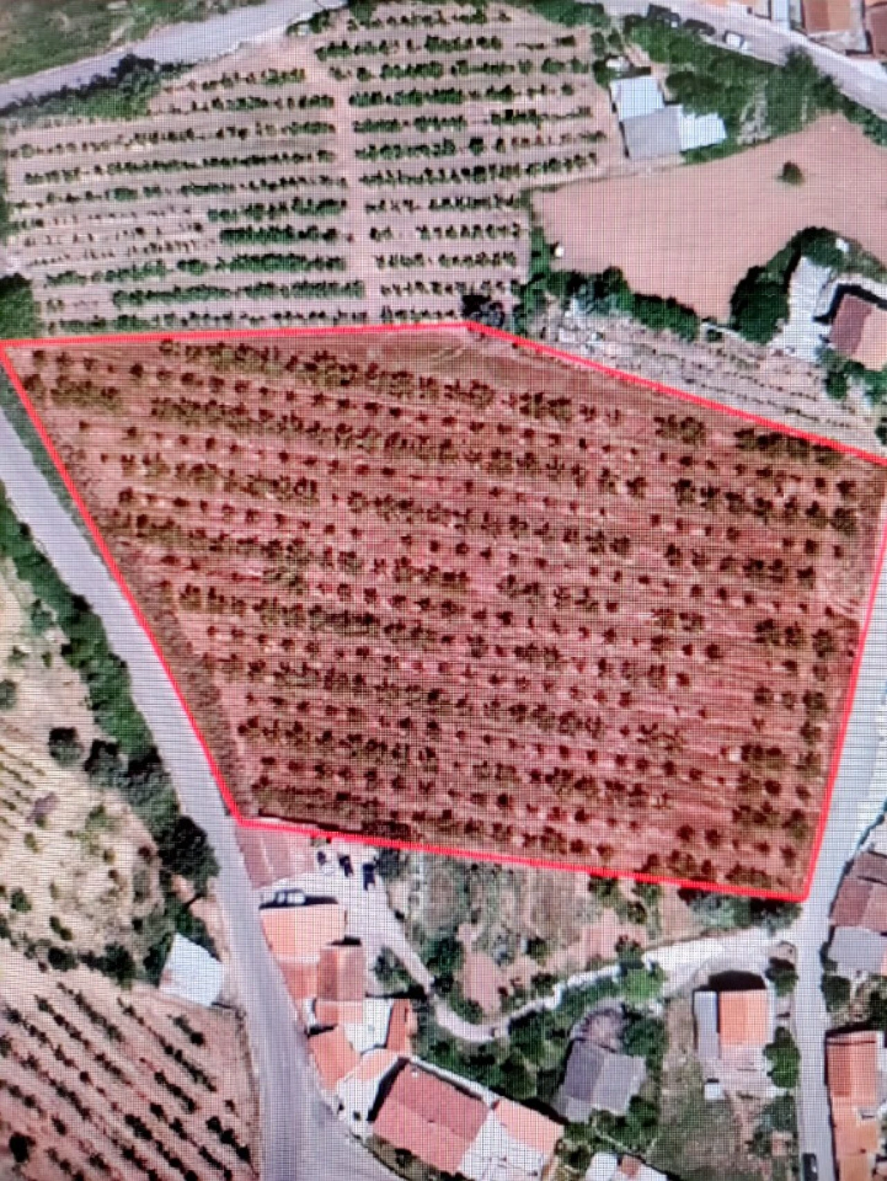 Terreno para Venda em A dos Francos Foto 5