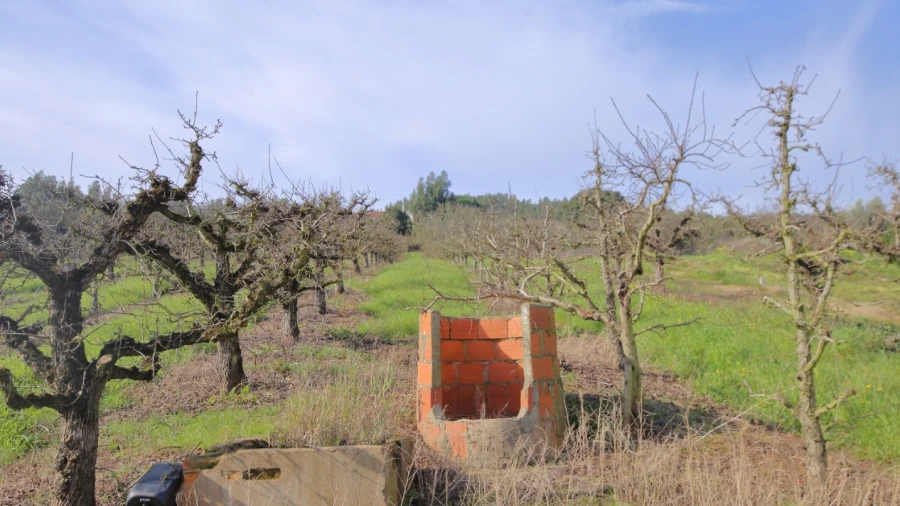 Terreno para Venda em A dos Francos