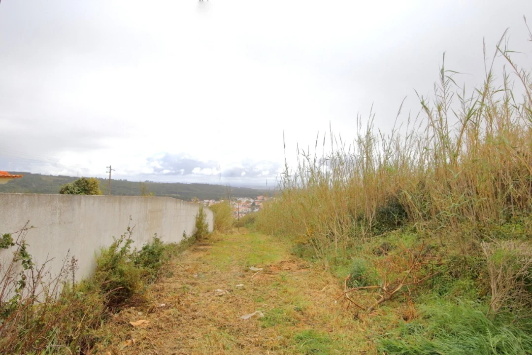Terreno para Venda em Foz do Arelho Foto 2
