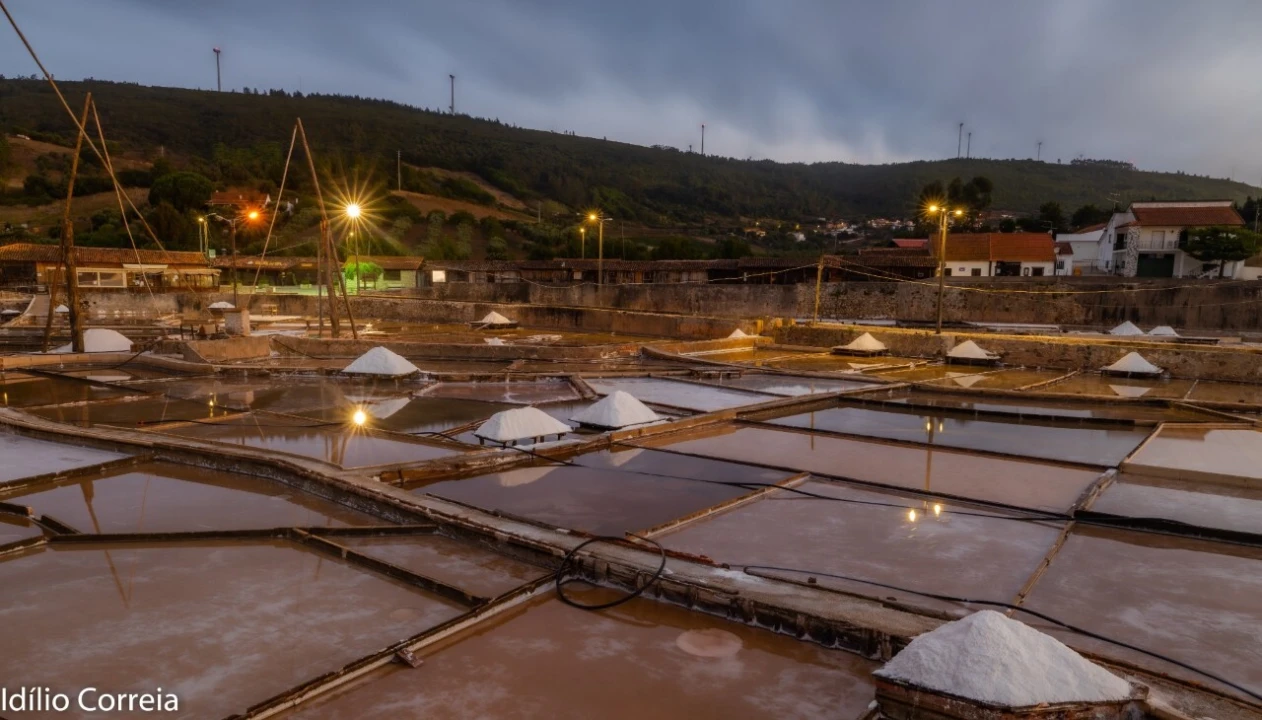 Terreno para Venda em Rio Maior Foto 3