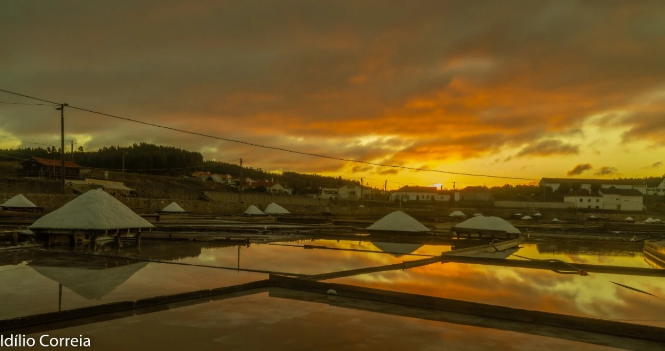 Terreno para Venda em Rio Maior Foto 7
