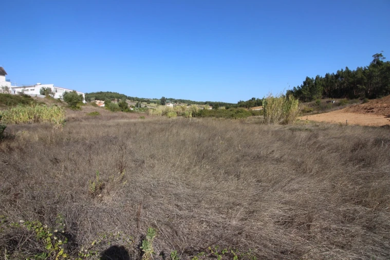 Terreno para Venda em Rio Maior Foto 8